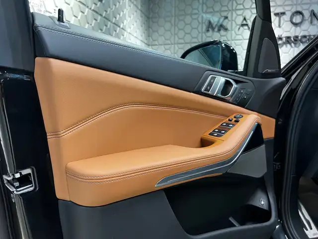 BMW X5 view 10