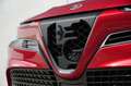Alfa Romeo Junior Elettrica Speciale 54 kWh | Pack Sport | Techno Pa Rood - thumbnail 5