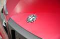 Alfa Romeo Junior Elettrica Speciale 54 kWh | Pack Sport | Techno Pa Rood - thumbnail 6