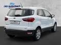 Ford EcoSport Trend Blanc - thumbnail 5