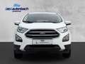 Ford EcoSport Trend Blanc - thumbnail 6