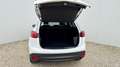 Mazda CX-5 Sports-Line AWD Revolution 4x4 Erstbesitz Aut. Weiß - thumbnail 20