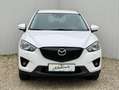 Mazda CX-5 Sports-Line AWD Revolution 4x4 Erstbesitz Aut. Weiß - thumbnail 2
