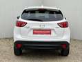 Mazda CX-5 Sports-Line AWD Revolution 4x4 Erstbesitz Aut. Weiß - thumbnail 5