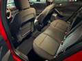 Ford Focus 1.0t ecoboost h ST-Line 125cv Rosso - thumbnail 11