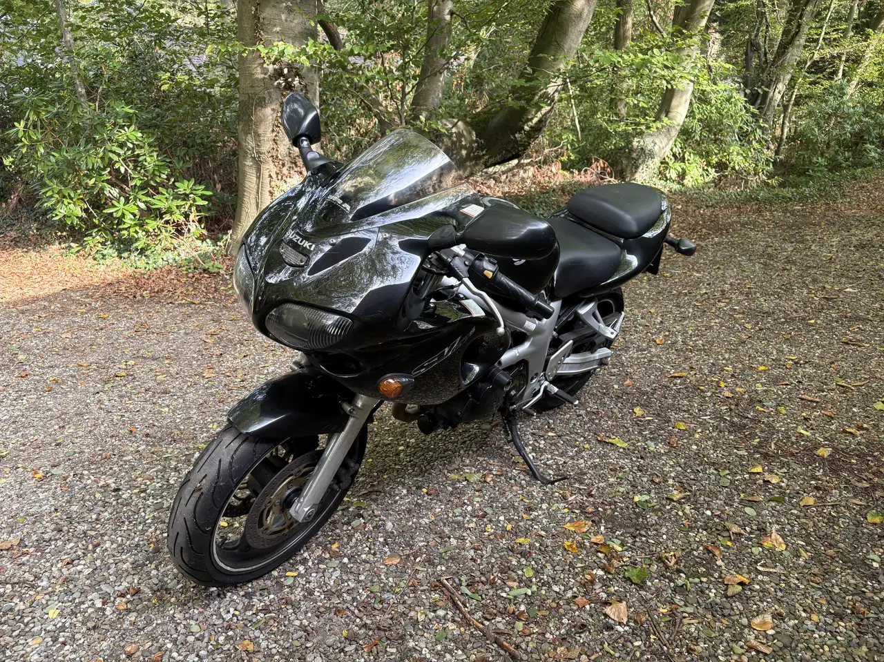 Suzuki SV 650