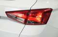 SEAT Arona 1.0 ecotsi Reference 95cv Bianco - thumbnail 7