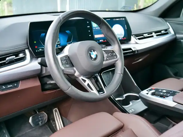 BMW X1 view 10
