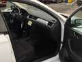Skoda Rapid/Spaceback 1.2 TSI AUTOMAAT PANORAMA DAK Weiß - thumbnail 29