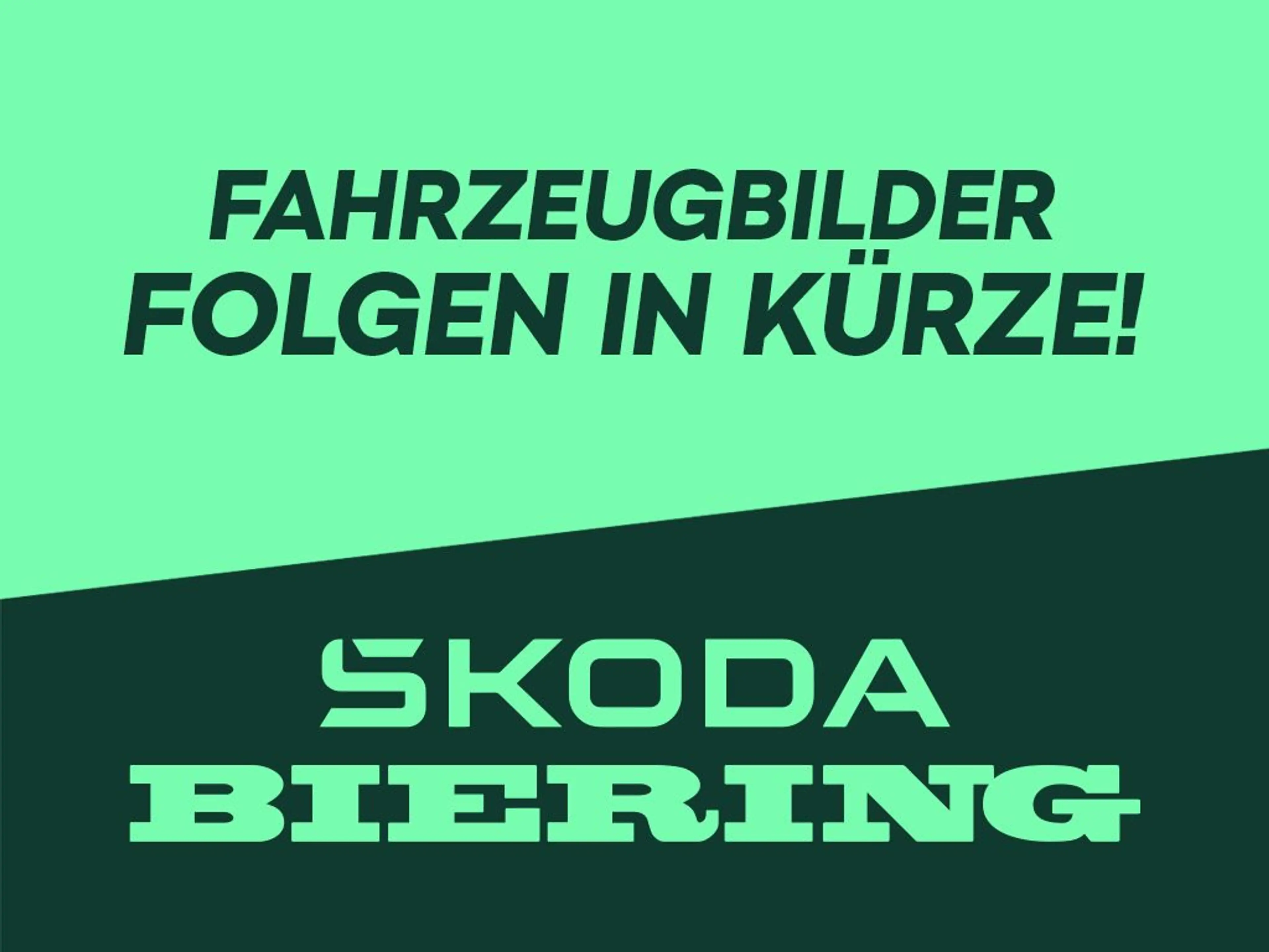 Skoda Scala SCALA 1.0 TSI Selection