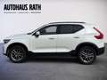 Volvo XC40 Black Edition Plus, B3 Mild Hybrid, Benzin Weiß - thumbnail 6