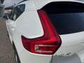 Volvo XC40 Black Edition Plus, B3 Mild Hybrid, Benzin Weiß - thumbnail 34