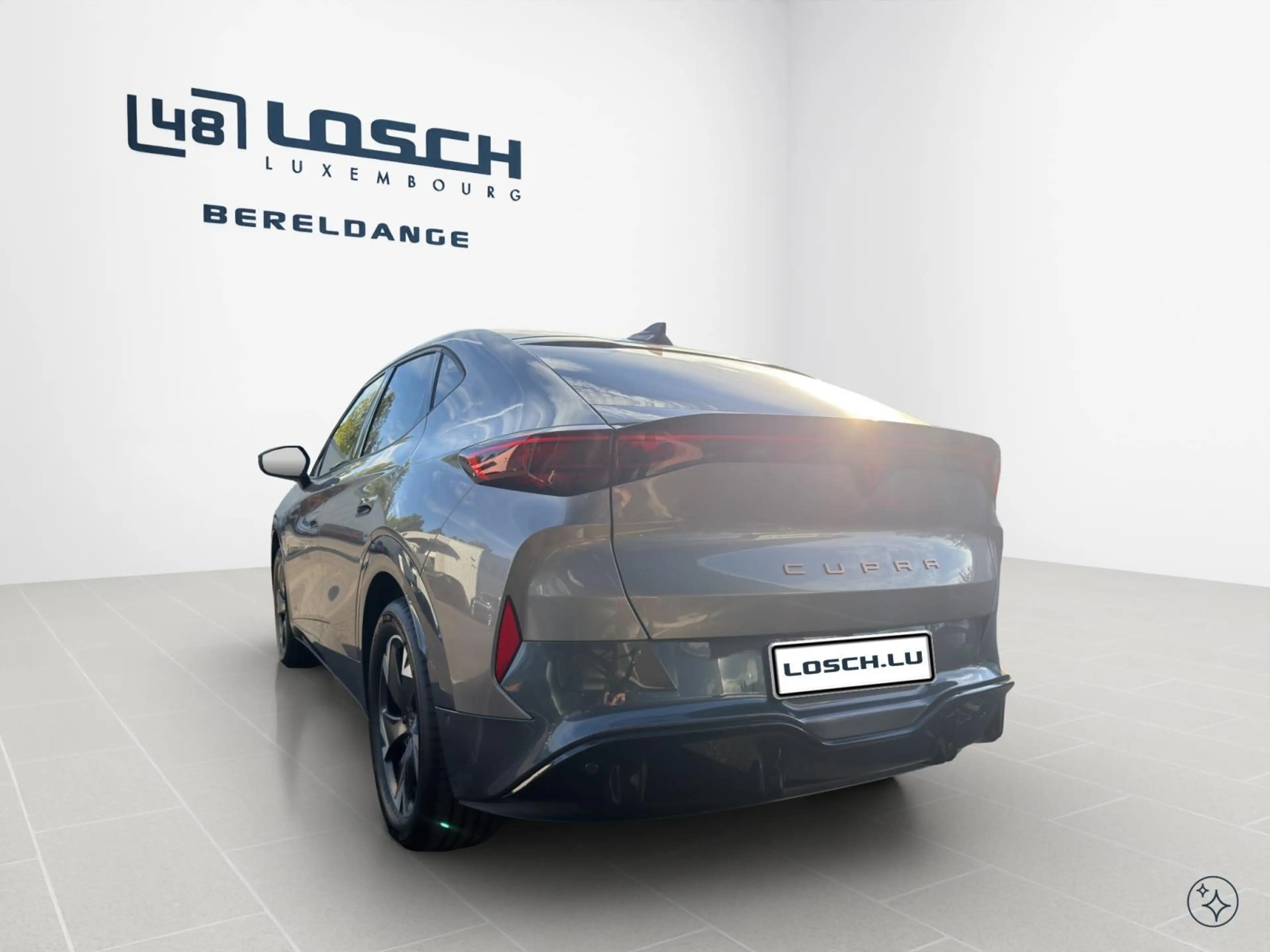 CUPRA Tavascan Endurance — photo 7