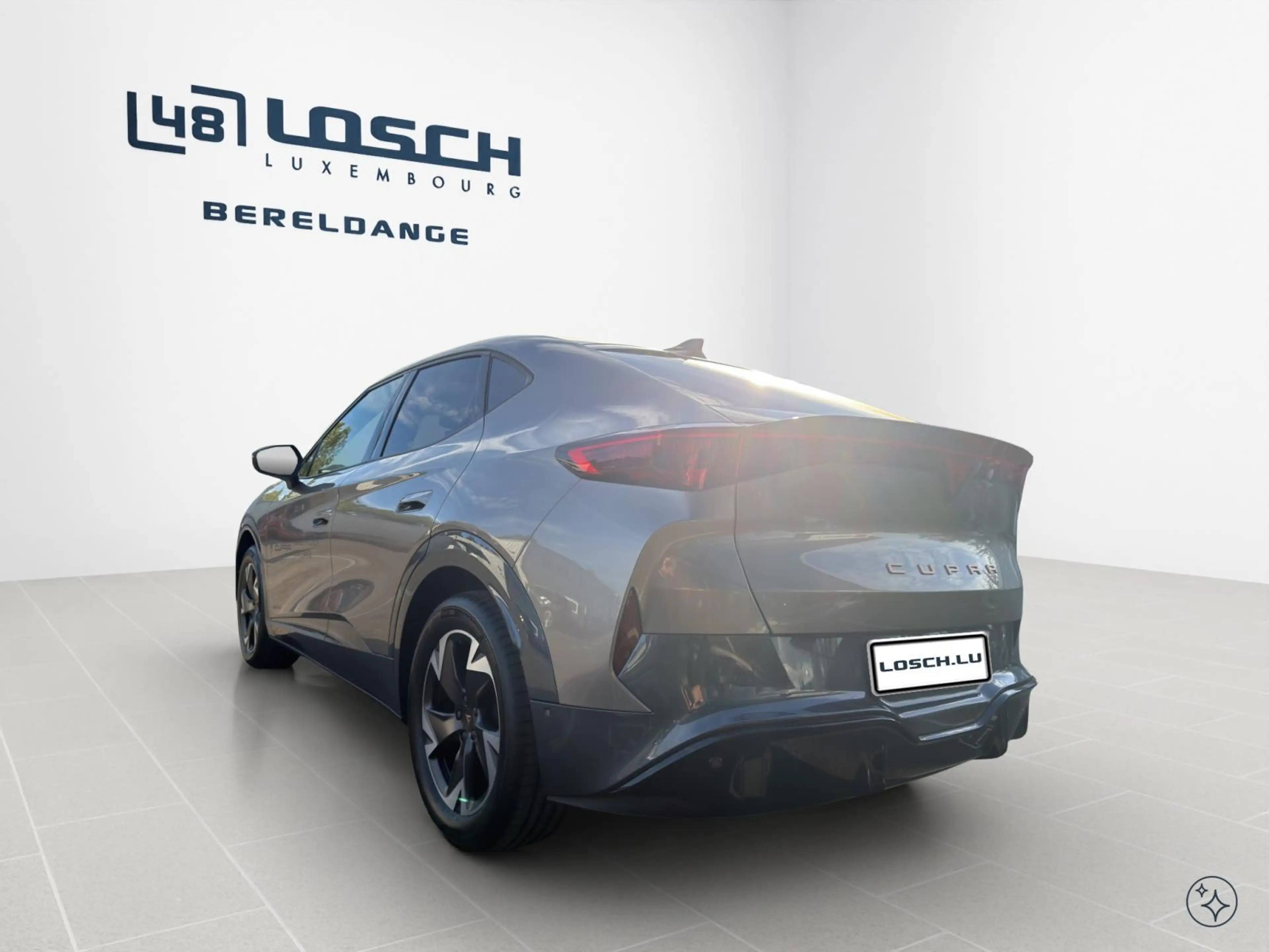 CUPRA Tavascan Endurance — photo 6