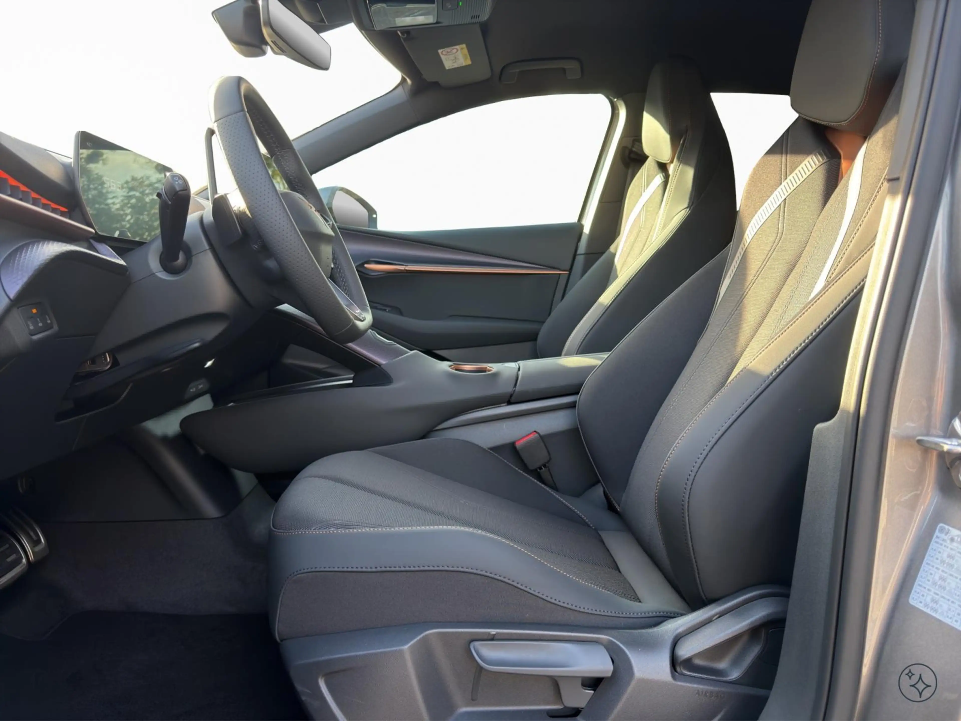 CUPRA Tavascan Endurance — photo 9