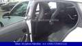 Mercedes-Benz CLA 220 d 8G-DCT Shooting Brake Progressive*LED Weiß - thumbnail 15