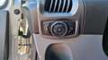 Ford Transit Custom 290 L1H2 2.0 TDCI 105 TREND BUSINESS FRIGO - thumbnail 24