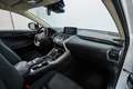 Lexus NX 300 300h Business Navigation 2WD Blanco - thumbnail 32