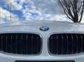 BMW 420 420d Coupe Msport 184cv auto - thumbnail 4