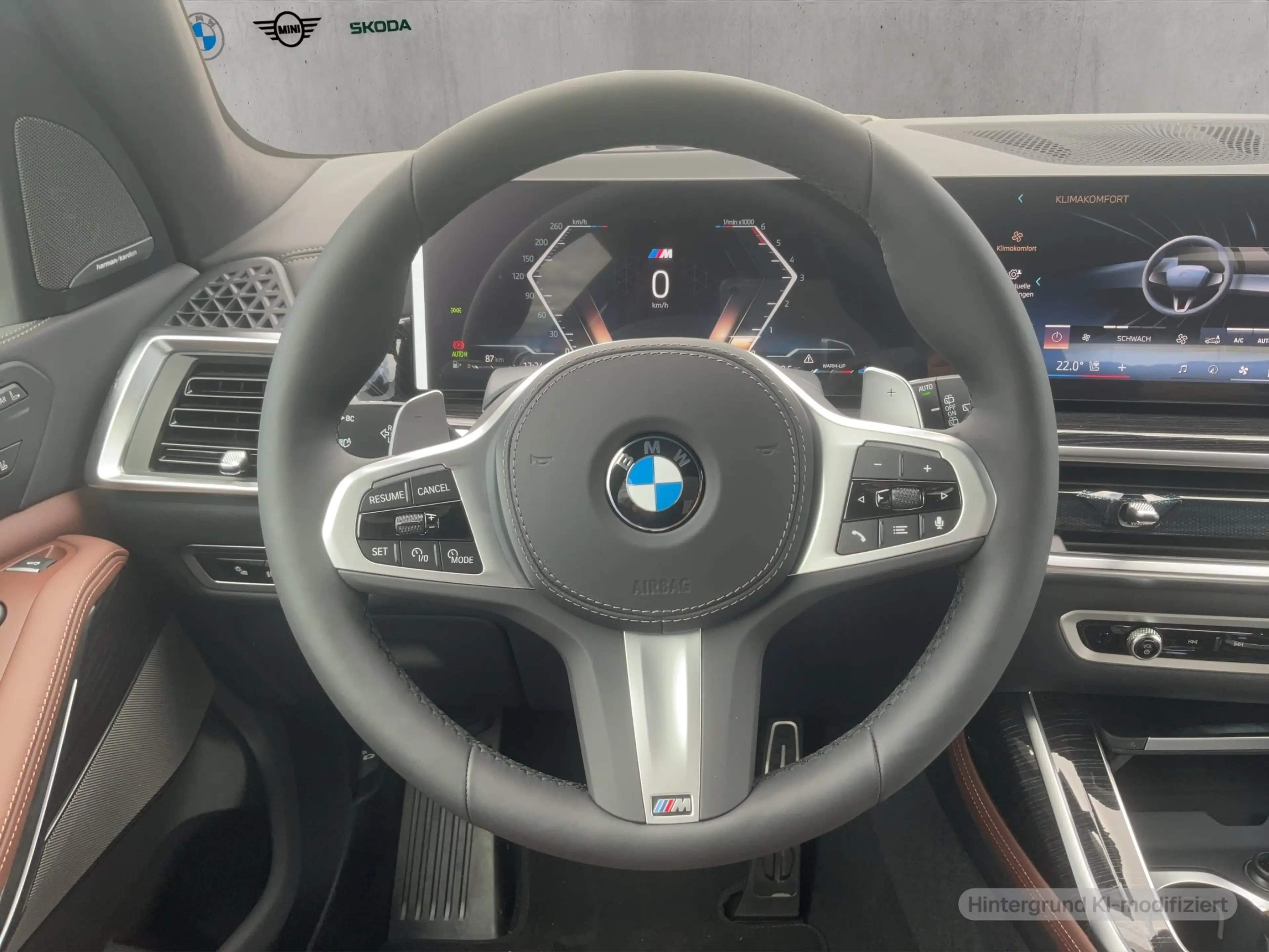 BMW X7 xDrive40d M Sport — photo 13