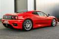Ferrari 360 Challenge Stradale F1 - Original Lexan - 1 of 43 Rojo - thumbnail 41