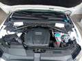 Audi Q5 2.0 tdi Advanced Plus quattro 170CV Wit - thumbnail 11