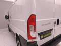 Fiat Ducato 30 CH1 2.3 mjt 120cv E6d-temp Bianco - thumbnail 31