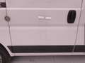 Fiat Ducato 30 CH1 2.3 mjt 120cv E6d-temp Bianco - thumbnail 44