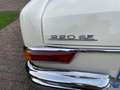 Mercedes-Benz 220 SE Wit - thumbnail 2