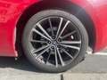 Toyota GT86 1ST EDITION / EDITION LIMITE NUMERO 28/86 / BLUETO Roşu - thumbnail 11