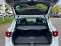 Renault Kadjar TCe 140 PF Intens Navi RFK Sitzheizung Voll-LED... Weiß - thumbnail 13