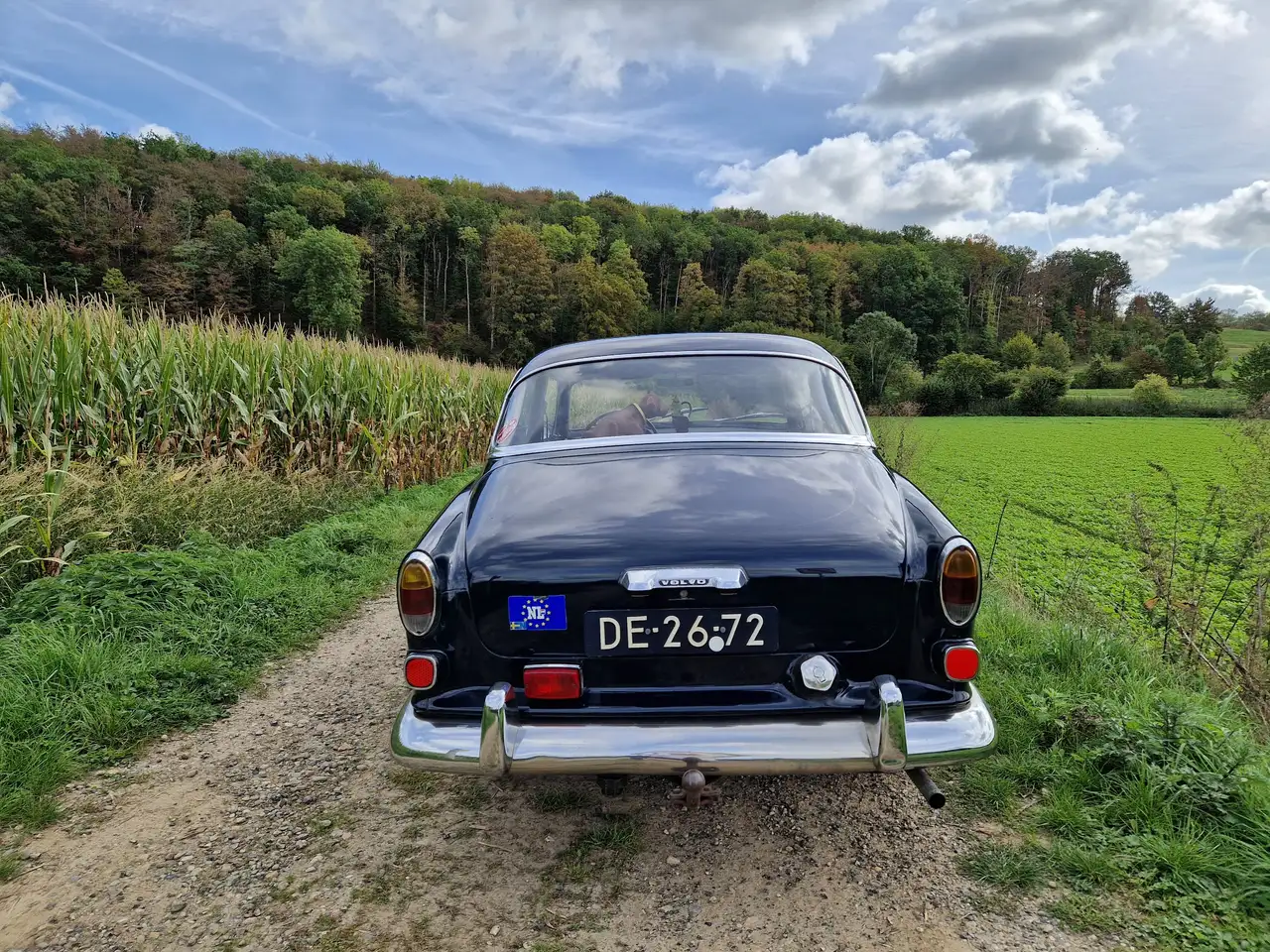 Volvo Amazon - LPG | trekhaak | overdrive |121 / B18 | belastingvrij, foto 3