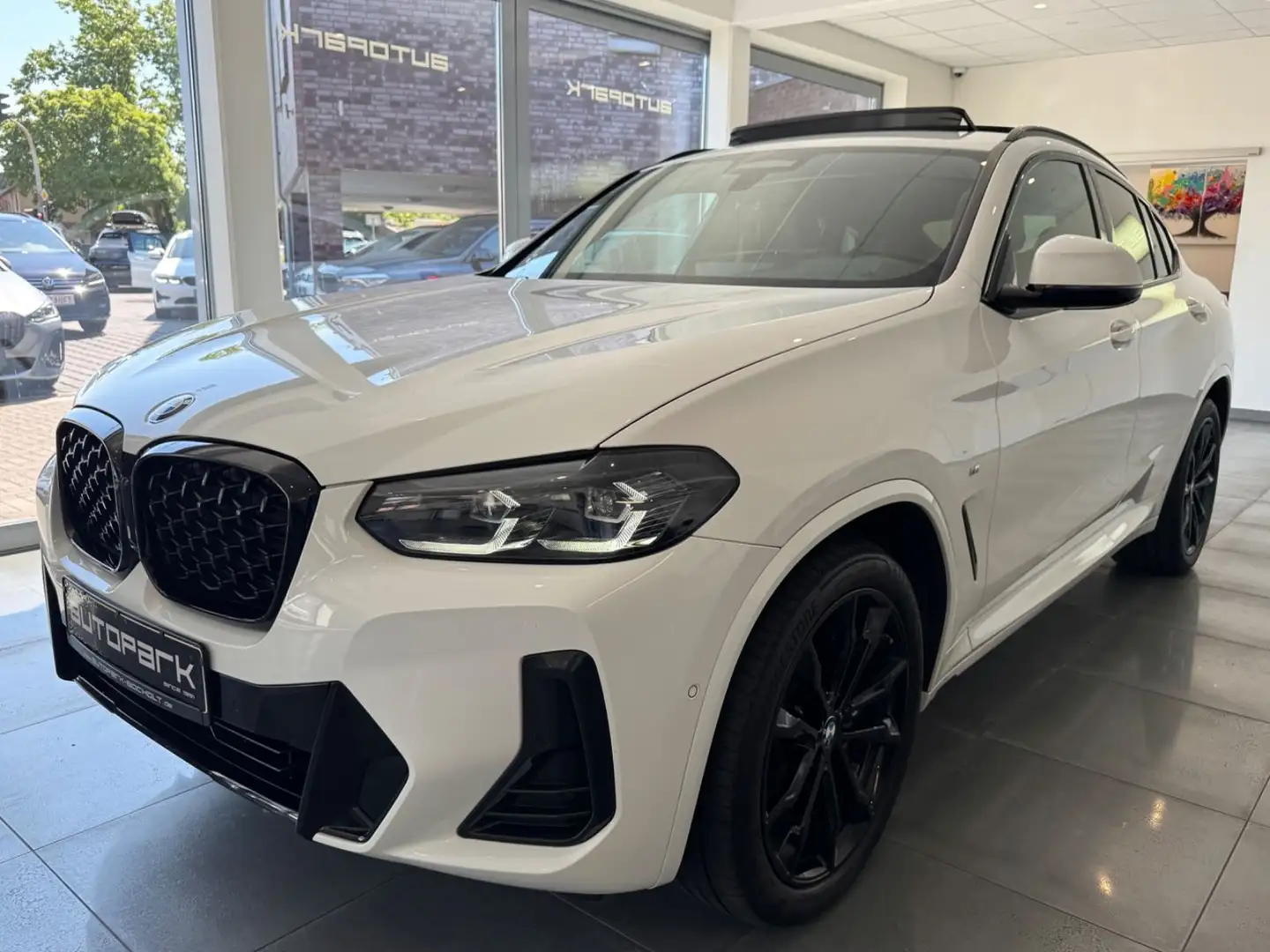 BMW X4 xDrive 30d M Sport PANO DAProf h/k STDHZ AHK Weiß - 1
