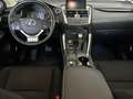 Lexus NX 300h NX 300h Business 2WD Business Blanco - thumbnail 9