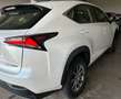 Lexus NX 300h NX 300h Business 2WD Business Blanco - thumbnail 6