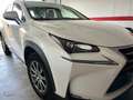 Lexus NX 300h NX 300h Business 2WD Business Blanco - thumbnail 4