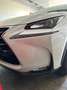 Lexus NX 300h NX 300h Business 2WD Business Blanco - thumbnail 19