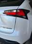 Lexus NX 300h NX 300h Business 2WD Business Blanco - thumbnail 20