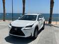 Lexus NX 300h NX 300h Business 2WD Business Blanco - thumbnail 1
