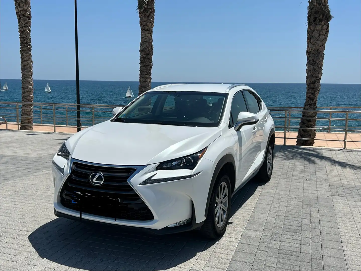 Lexus NX 300h NX 300h Business 2WD Business Blanco - 1