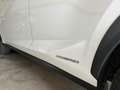 Lexus NX 300h NX 300h Business 2WD Business Blanco - thumbnail 22