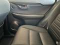 Lexus NX 300h NX 300h Business 2WD Business Blanco - thumbnail 15