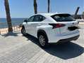 Lexus NX 300h NX 300h Business 2WD Business Blanco - thumbnail 2