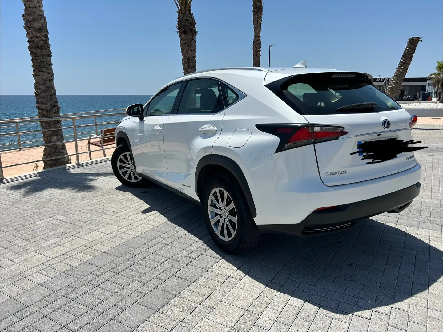 Lexus NX 300h NX 300h Business 2WD Business Blanco - 2