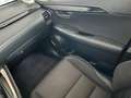 Lexus NX 300h NX 300h Business 2WD Business Blanco - thumbnail 10