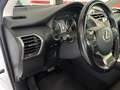 Lexus NX 300h NX 300h Business 2WD Business Blanco - thumbnail 26