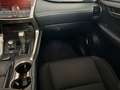 Lexus NX 300h NX 300h Business 2WD Business Blanco - thumbnail 12