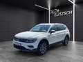 Volkswagen Tiguan Allspace TDI DSG Standhzg Leder 360° Kamera LED Navi AID... Weiß - thumbnail 3