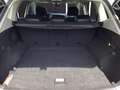 Volkswagen Tiguan Allspace TDI DSG Standhzg Leder 360° Kamera LED Navi AID... Weiß - thumbnail 15