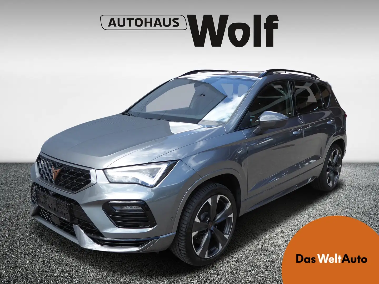 CUPRA Ateca VZ 2.0 TSI DSG 4Drive 300 Gris - 1